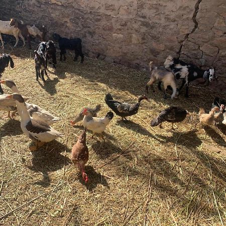 Willa Nubian Farm Aswan Zewnętrze zdjęcie