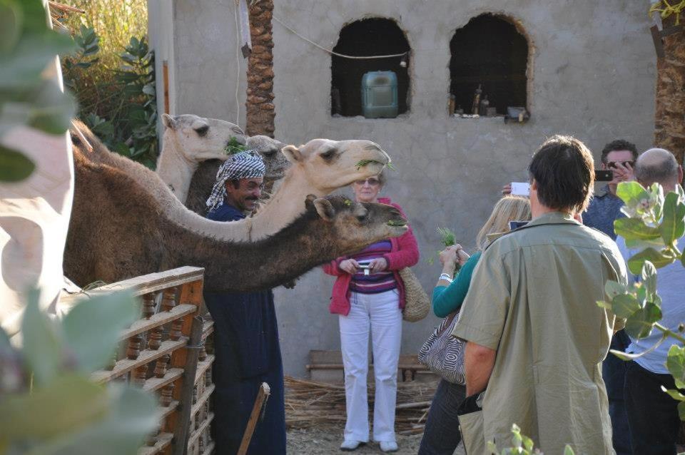 Willa Nubian Farm Aswan Zewnętrze zdjęcie