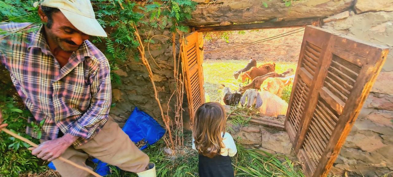 Willa Nubian Farm Aswan Zewnętrze zdjęcie