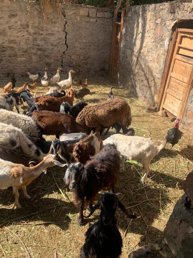 Willa Nubian Farm Aswan Zewnętrze zdjęcie