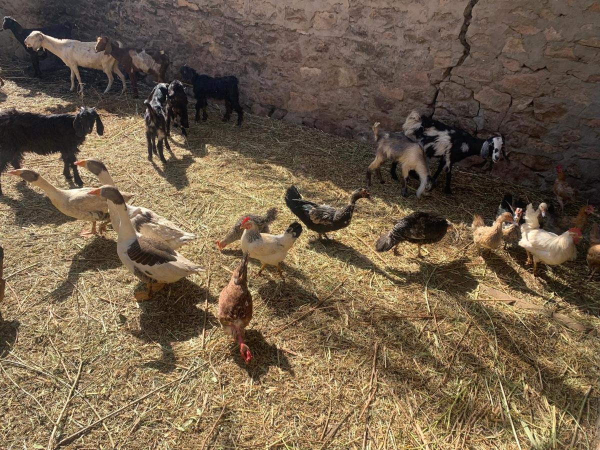 Willa Nubian Farm Aswan Zewnętrze zdjęcie
