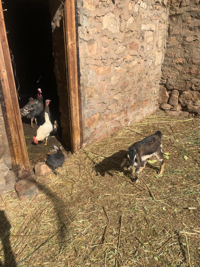 Willa Nubian Farm Aswan Zewnętrze zdjęcie
